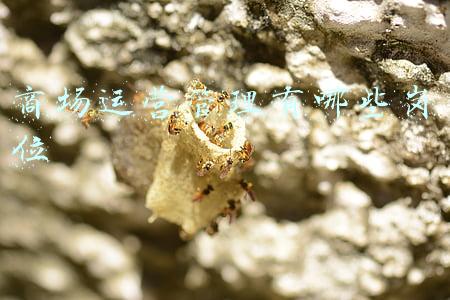 商场营运主管的职责是什么(《政策“上新”》（四）运营单位的职责及物业管理的具体工作（二）)