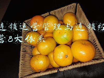 连锁运营管理与连锁经营8大体系