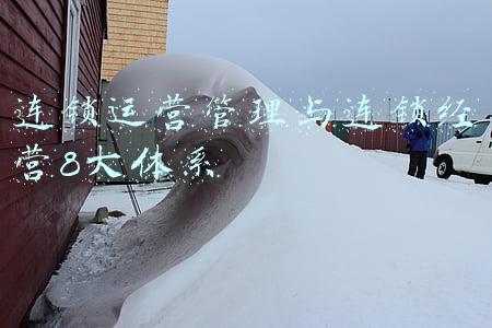 什么是连锁经营管理(《连锁干货》：连锁店的管理模式)
