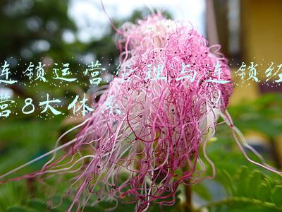 连锁运营管理与连锁经营8大体系