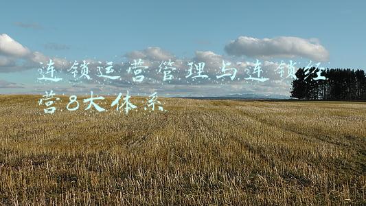 连锁运营管理与连锁经营8大体系