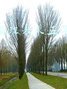 未来五年职业生涯规划(叮！2022年首天工作打卡，我建议你做一份职业生涯规划)