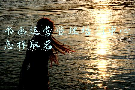 书画运营管理培训中心怎样取名