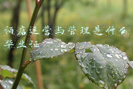 酒店运营与管理是什么毕业证