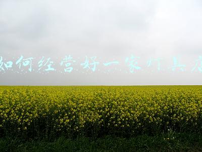 灯具加盟费多少：卖灯具加盟好吗