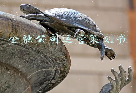 金融公司运营策划书