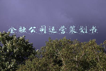金融公司运营策划书