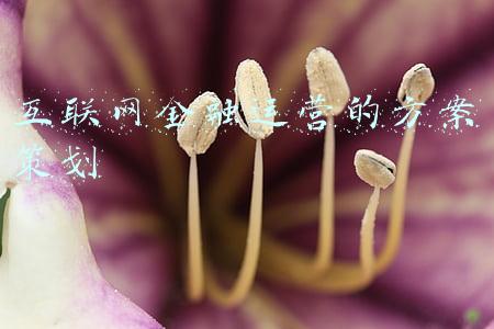互联网金融整治方案(数字经济时代大型互联网平台的治理)