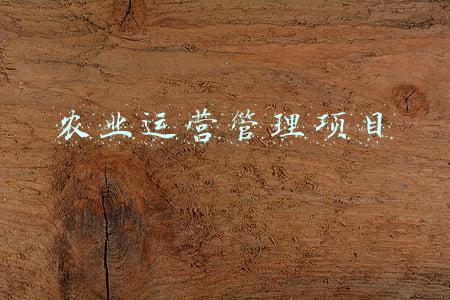 农业项目管理师证(传奥运之火 让梦想飞扬)