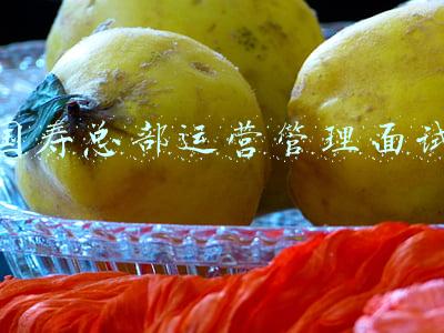 国寿总部运营管理面试