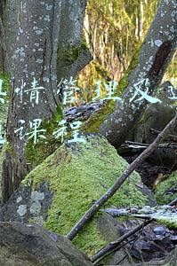 媒体舆情管理及运营策略专题课程