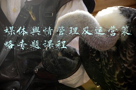 新媒体舆情监测平台(政务网站和新媒体平台舆情预警系统有哪些？哪家舆情机构好？)