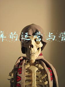 仓库的运营与管理