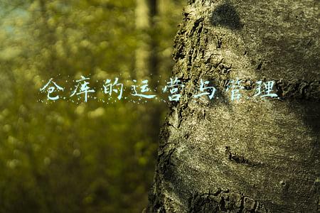 仓库的运营与管理