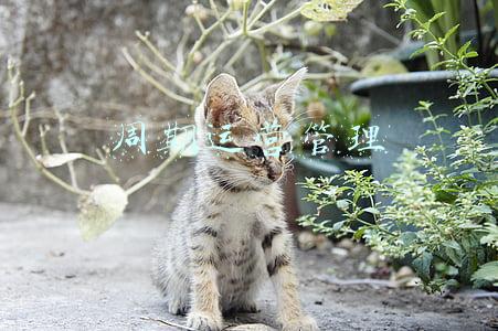 房地产项目全周期运营(房地产项目开发流程与运营管理（图文并茂） 49页)