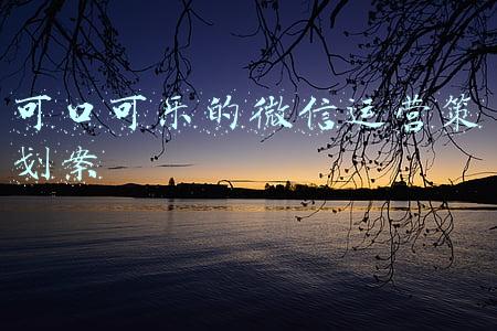 可口可乐的营销模式(337可口可乐品牌营销方案（8份）)