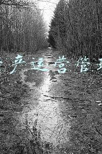 资产管理数字化(人工智能辅助投研，资产管理行业的数字化转型之路该如何走？)