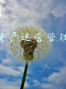 数字资产管理系统(可视化数字资产管理，实现资产全生命周期的数字化管理)