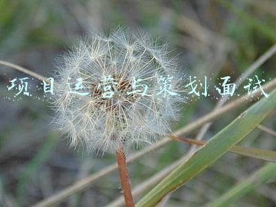 运营策划面试技巧(想进广告公司做品牌策划，如何准备面试？)