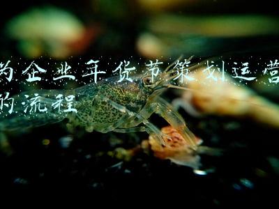 为企业年货节策划运营的流程