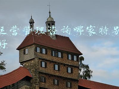 运营咨询公司(去年营收超21亿元 中咨公司再居工程咨询机构百强榜首位)