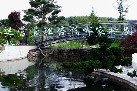 运营管理部怎么样(运营岗位是怎样的工作体验？)