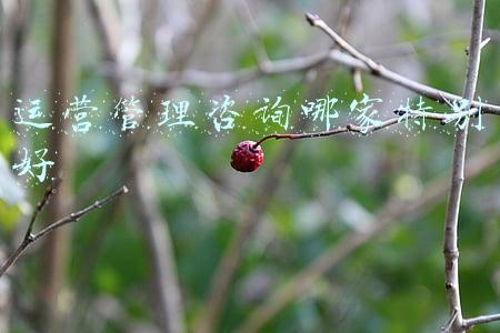 运营顾问是销售吗(您的公司正在采用哪个级别的销售流程)