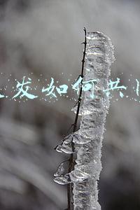 美容美发店营销方案:美容美发经营方案