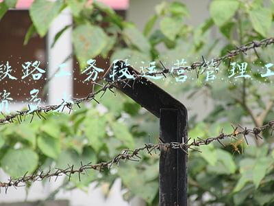 铁路局工务段工资(我，在铁路公司工作5年，告诉你铁路公司的管理者月薪多少)