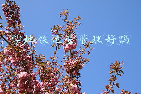 学地铁运营管理好吗