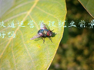 铁道车辆技术就业前景(西南交通大学就业质量报告 行业类211大学典型就业去处)