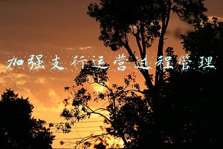 加强支行运营过程管理