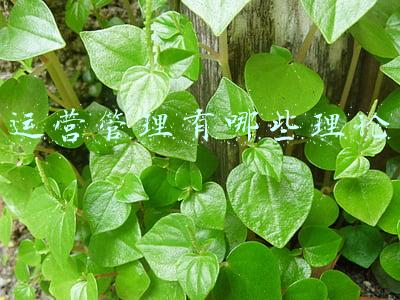 运营管理的基本原理(地产圈很火的大运营是什么鬼？3分钟看懂)