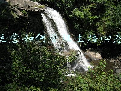 主播管理该怎么做(新主播心态管理)