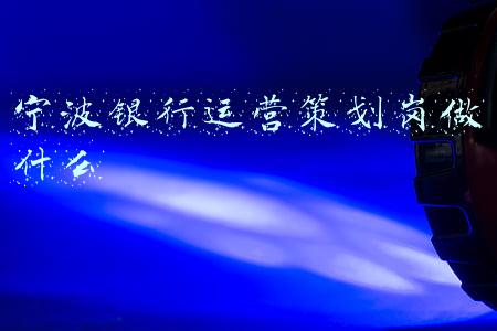 宁波银行运营策划岗做什么