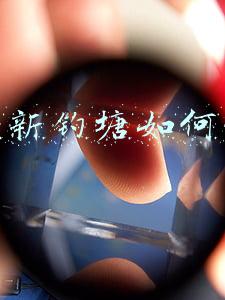 一个新钓塘如何经营