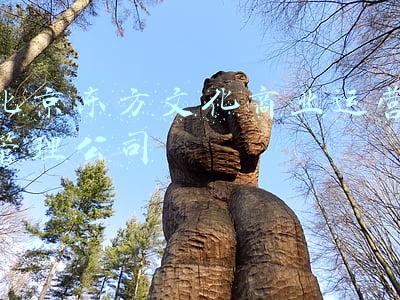 北京东方文化商业运营管理公司