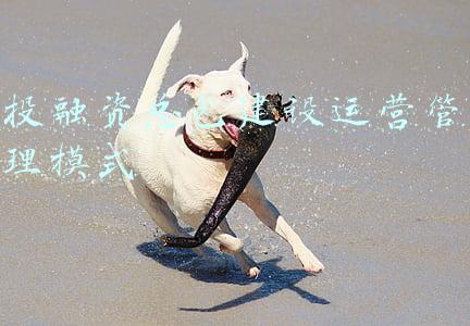 融资总承包模式(浅析总承包发展的模式)