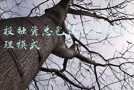 投融资总包建设运营管理模式