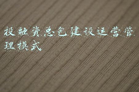 投融资总包建设运营管理模式