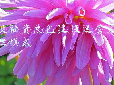 投融资模式有哪些(融资的五大要求和四大方针)
