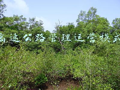 高速公路管理条例2020(高速公路救援中建立合同关系的相对人的认定)
