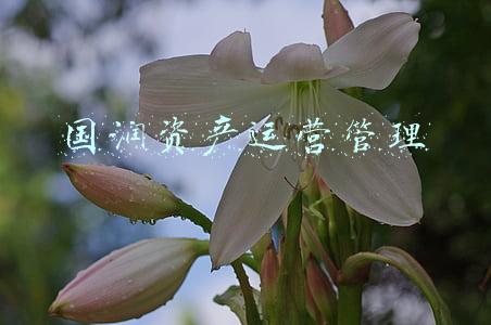 国润家饰城(哈西一片玉米地“长出”服装城)