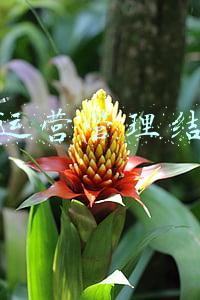 酒吧运营管理结构图