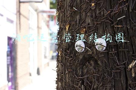 酒吧运营管理结构图