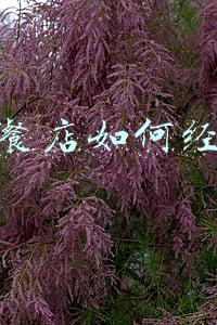 开快餐店需要准备什么设备（开快餐店需要准备什么）