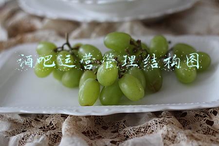 酒吧运营管理结构图