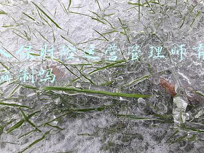 人保财险运营管理师有编制吗