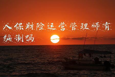 人保财险运营管理师有编制吗