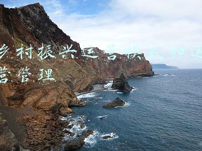 乡村振兴运营模式和运营管理